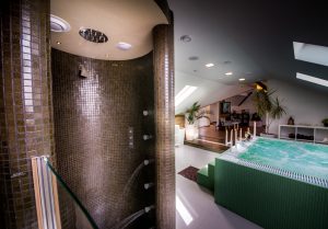 Dusuri Emotionale 4 Dusuri Emotionale 4